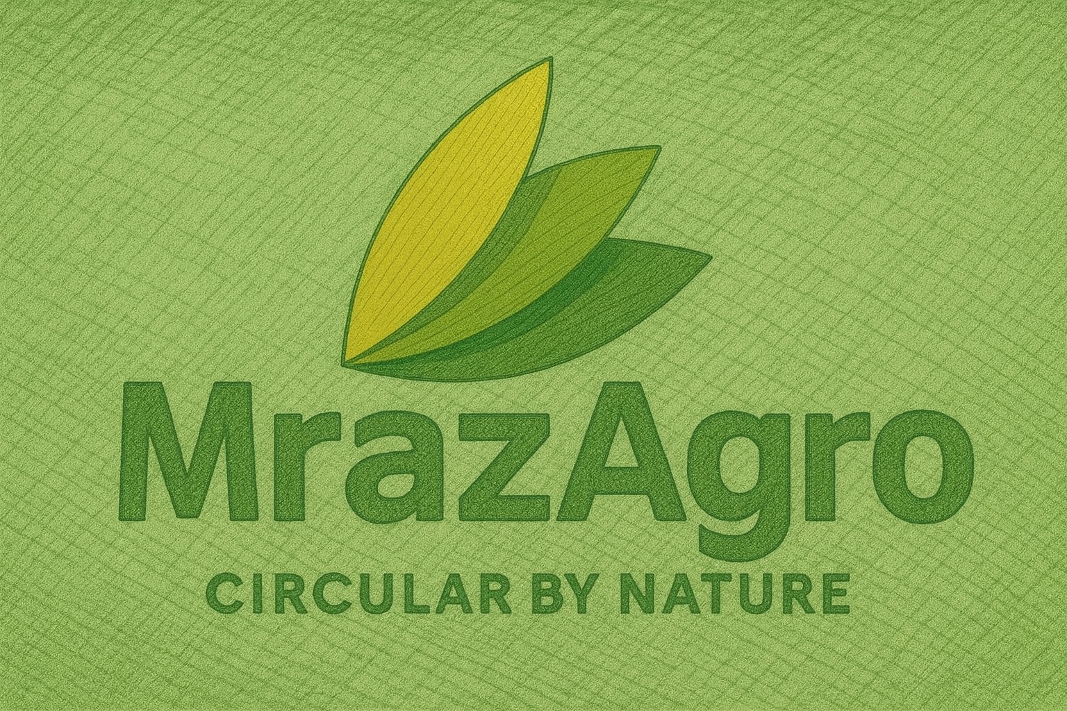 logo-circular-ilustr