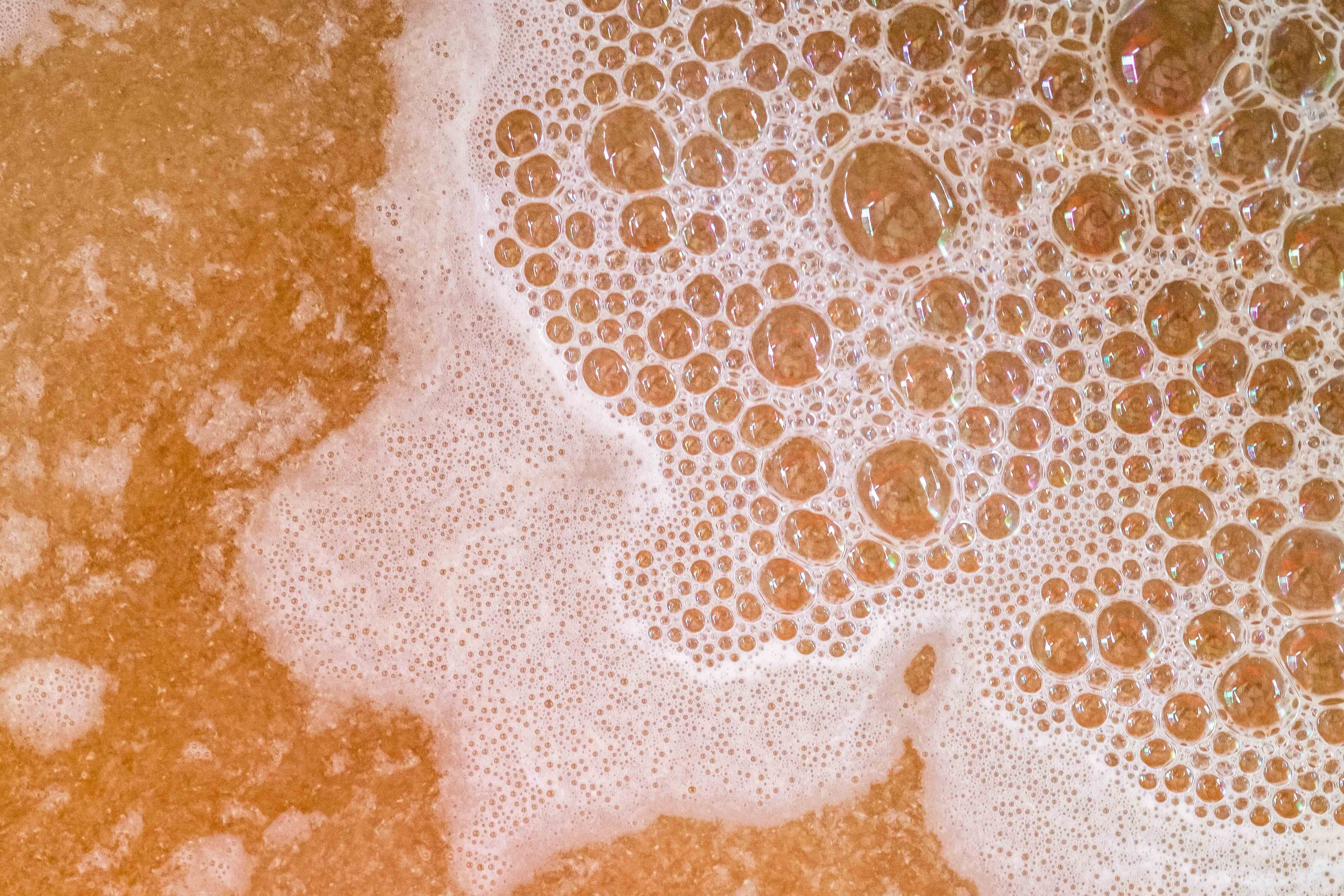 Brewers Spent Yeast Mraz Agro